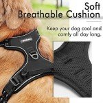 Rabbitgoo No-Pull Dog Harness with Leash Clips