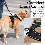 Rabbitgoo No-Pull Dog Harness with Leash Clips