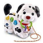 VTech Singing Puppy Toy for Kids