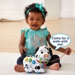 VTech Singing Puppy Toy for Kids