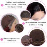 Burgundy 13x4 Straight Lace Front Wig