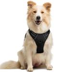 Rabbitgoo No-Pull Dog Harness with Leash Clips