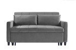 Chusstang 3-in-1 Pull-Out Sofa Bed