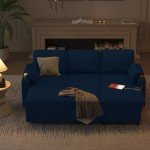DURASPACE Blue Sleeper Sofa Bed with Storage