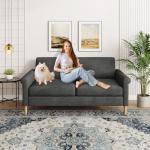 Vesgantti 2-Seater Fabric Loveseat Sofa in Grey