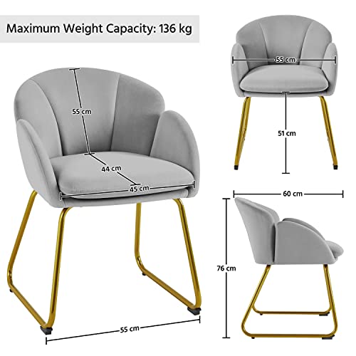 Modern Velvet Tub Chair with Gold Legs - Grey