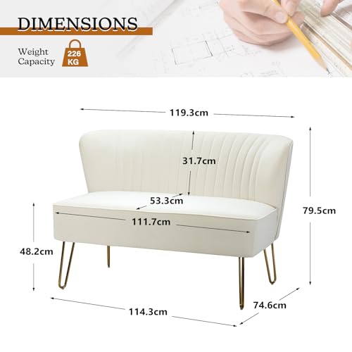 Velvet 2-Seater Loveseat Sofa with Gold Legs
