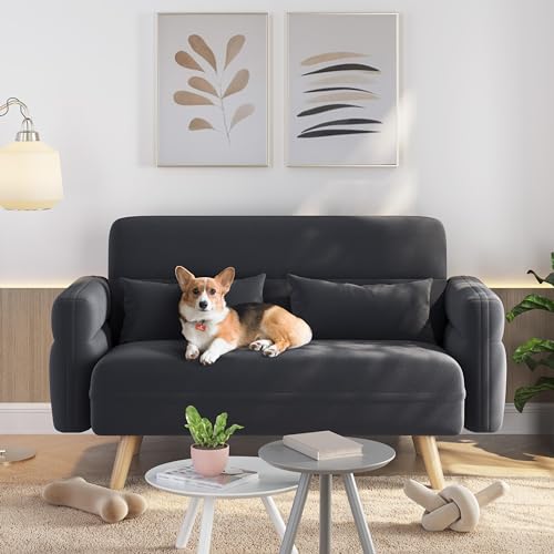Small Modern Dark Gray Loveseat Couch for Any Room