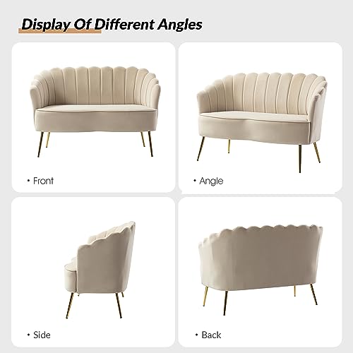 Velvet 2-Seater Loveseat Sofa with Metal Legs