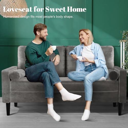 Aotumm Ciort Mid-Century 2-Seater Loveseat Sofa