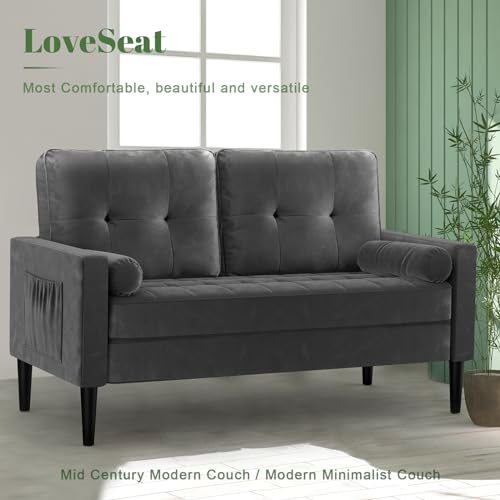 Aotumm Ciort Mid-Century 2-Seater Loveseat Sofa
