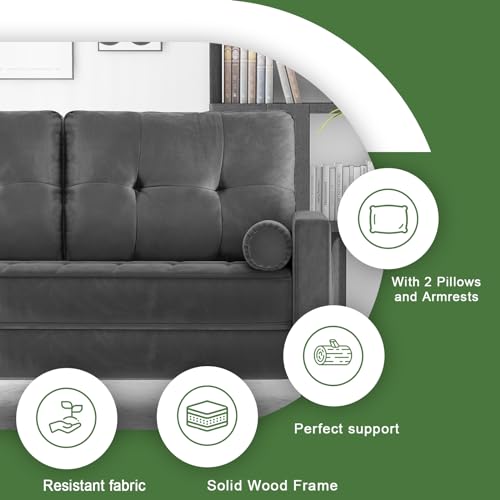 Aotumm Ciort Mid-Century 2-Seater Loveseat Sofa