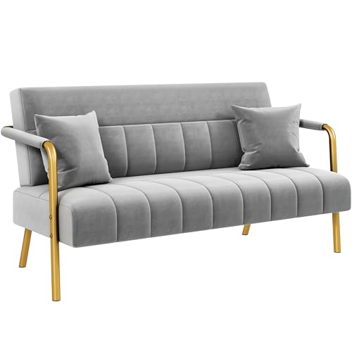 Light Gray Velvet 2-Seater Modern Sofa Loveseat