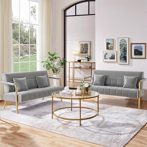 Light Gray Velvet 2-Seater Modern Sofa Loveseat