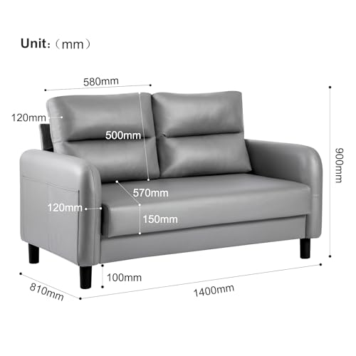 Modern Grey Leather 2-Seater Loveseat Couch
