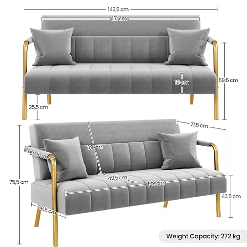 Light Gray Velvet 2-Seater Modern Sofa Loveseat