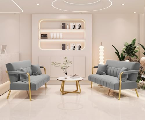 Light Gray Velvet 2-Seater Modern Sofa Loveseat