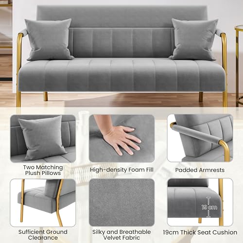 Light Gray Velvet 2-Seater Modern Sofa Loveseat