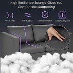 Modern Upholstered Loveseat with Metal Support
