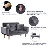 Small Gray Sofa Couch for Living Room