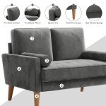 Velvet 2-Seater Sofa with Pillows - Modern Couch