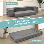 Queen Size Folding Sofa Bed with Memory Foam