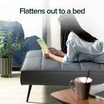 Zinus Quinn Folding Sofa Bed in Dark Grey