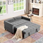 Chusstang 3-in-1 Pull-Out Sofa Bed