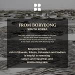 BRMUD Recovery Mud Peel Off Mask for Exfoliating and Deep Cleansing, Blackhead Remover Mask 110ml (3.72 fl.oz.) - Peel-Off Mask with Boryeong Mud, Pore Minimizer and Sebum Control for Women and Men