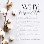 SUPREME ELEGANCE Blush King Size Sheet Set, Lightweight & Breathable, 100% Cotton Percale Sheets King, Organic Cotton Blush Sheets, Cool & Crisp, Deep Pockets, Easy Fit