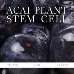 KORA Organics Firming Plant Stem Cell Serum