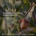 Ogee Organic Tinted Moisturizer Foundation - Medium Tan