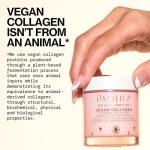 Pacifica Vegan Collagen Plumping Jelly Mask – Overnight Hydrating Face Mask with Vegan Collagen, Squalane & Hyaluronic Acid, Deep Moisture for Plump, Dewy Skin, Glass Skin Glow, Clean Beauty Skincare