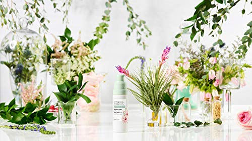 Organic Wear Natural Mineral Primer by Physicians Formula