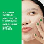 Innisfree Aloe Energy Hydrating Sheet Mask
