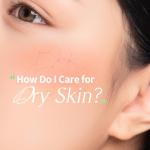 Mediheal Daily Vegan Aloe Hydrating Mask (10 Pack)