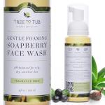 Organic Aloe Vera Face Wash for Sensitive Skin