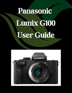 Panasonic Lumix G100 Beginner's Guide and Tips