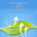 Portable Cooling Vest with Dual Fans for All