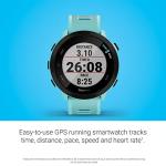 Garmin Forerunner 55 GPS Running Watch