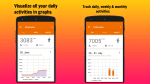Pedometer and Weight Loss Trainer