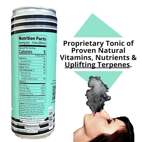 Sugar-Free 4:20 Energy Drinks with Terpenes - 6 Pack