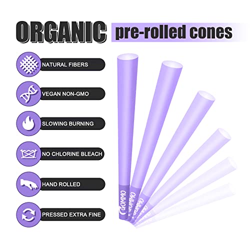 GOMMO King Size Pre-Rolled Purple Cones - 50 Pack