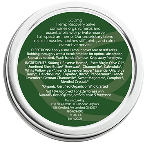 500mg Organic Hemp Recovery Salve - Quick Relief