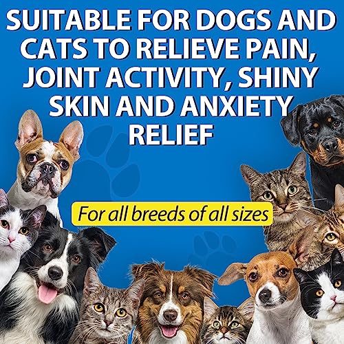 Organic CBD Oil for Dogs - 60ML Pain Relief