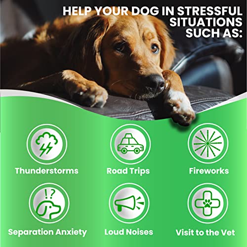 Hemp Calming Chews for Anxious Dogs - 170 Treats