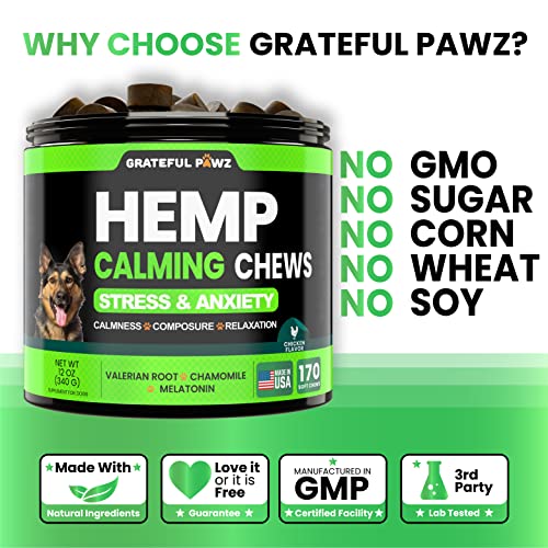 Hemp Calming Chews for Anxious Dogs - 170 Treats