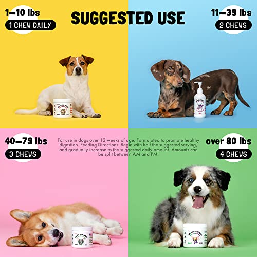 Organic Calming Hemp Treats for Anxious Dogs