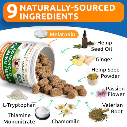 BARK&SPARK Calming Hemp Dog Treats - 60 Chews