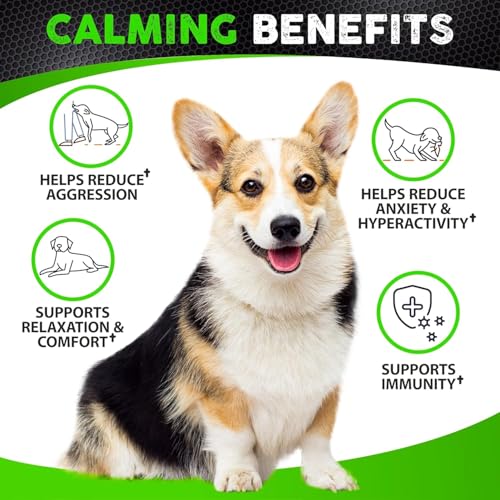 Calming Hemp Chews for Anxious Dogs - 170 Treats